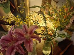 -樹下遇见树·咖啡