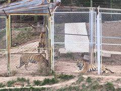 -青藏高原野生动物园