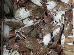 -聚盛源蒸汽海鲜火锅烤肉自助(巨川金海岸购物广场店)