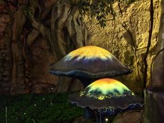 -祥源·阜阳生态乐园