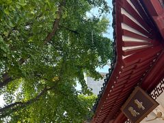 -襄阳古城