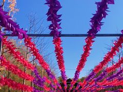 -野鸭湖国家湿地公园