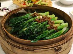 蒸菜心-新加坡泰国村酒楼(五角场店)