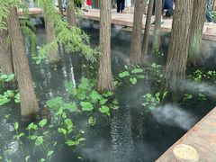 -东湖落雁景区