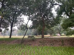 -东湖落雁景区