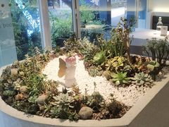 -春树下·树屋花房西餐厅(罍街AS1980店)