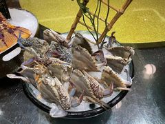 -半岛翡丽海鲜自助餐厅(观风亭店)