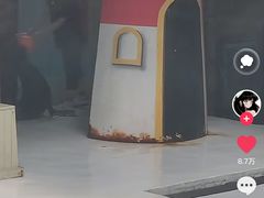 -锦艺城海洋馆