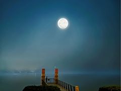 -深圳湾公园(南山区)