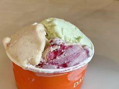 斑斓椰子-Dal Cuore 达可芮冰淇淋(陕西北路店)