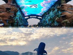 -珠海长隆海洋王国