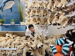 -宜家家居(哈尔滨商场店)