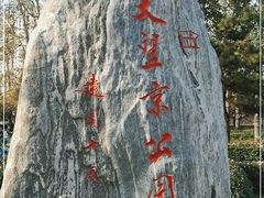 -大望京公园