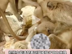 -昆明动物园