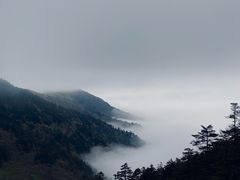 -神农架景区