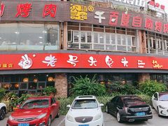 -老号尤兔头(幸福店)