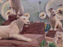 -陕西自然博物馆