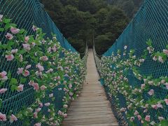 -遂昌金矿国家矿山公园