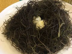 发菜-文昌小老弟糟粕醋