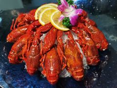 冰镇小龙虾-潮三爷砂锅焗海鲜·生腌·海鲜粥(朝晖店)