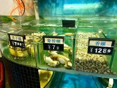 -蚝美人·生蚝海鲜烧烤(茶花园店)