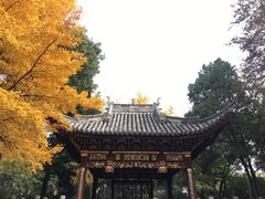 -汇龙潭