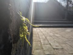 -虞山城墙