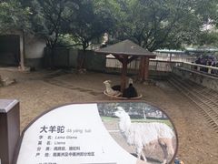 -成都动物园