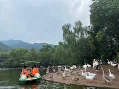 -西安秦岭野生动物园