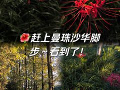 -升仙湖公园
