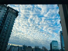 -丁家坡洋芋·观音桥好吃街A区(全国总店)