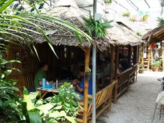 -Jungle Kitchen