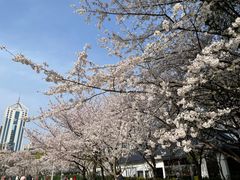-新虹桥中心花园