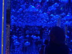 -杭州西湖星空魔幻城(星空艺术馆品牌旗舰店)