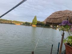 -水岸居湖景农家乐·阳澄湖大闸蟹