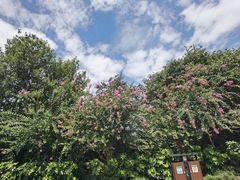 -岳麓山风景名胜区