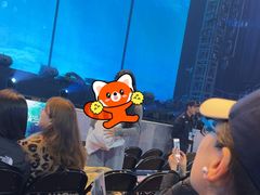 -大连体育中心体育馆