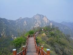 -大岭沟猕猴桃谷风景区