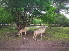 -卡塞拉自然公园