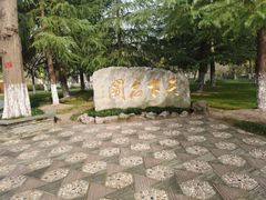 -水绘园