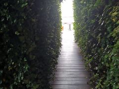 -顶层酒吧ROOF(上海艾迪逊酒店)