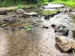 -白水寺森林公园