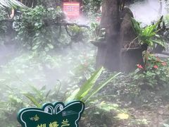 -呀诺达热带雨林
