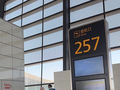 -郑州新郑国际机场-T2航站楼