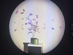 -诚毅科技探索中心