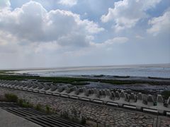 -南汇新城海滩