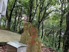 -上海佘山国家森林公园天马山园