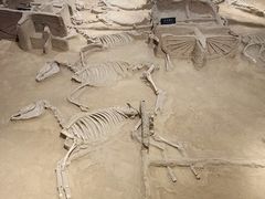 -洛阳周王城天子驾六博物馆