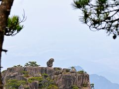 -黄山风景区
