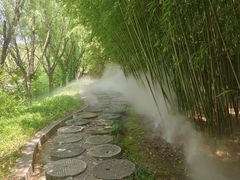 -雪山彩虹谷景区